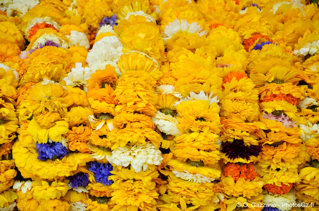 Colliers de fleurs pour prières / Népal